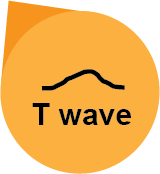 Overlay Visualization